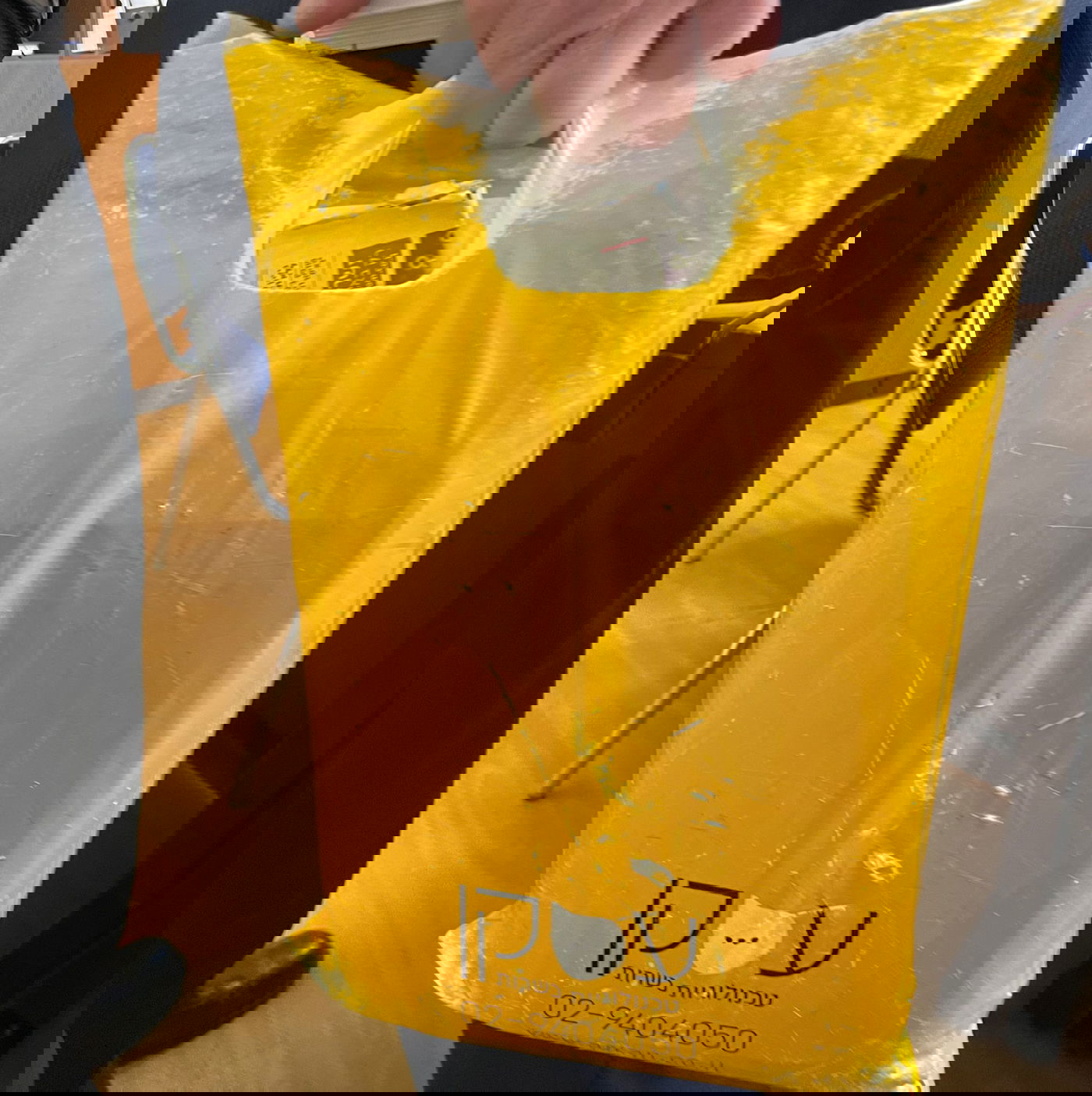 זופניק בכיכר • כל התמונות והנייעס של השבוע