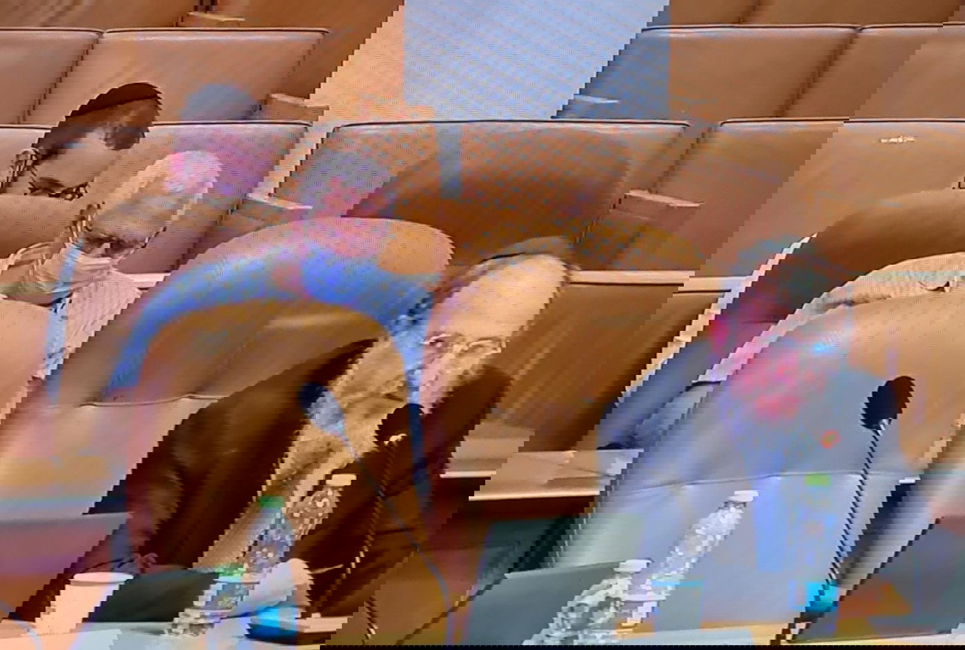 זופניק בכיכר • כל התמונות והנייעס של השבוע