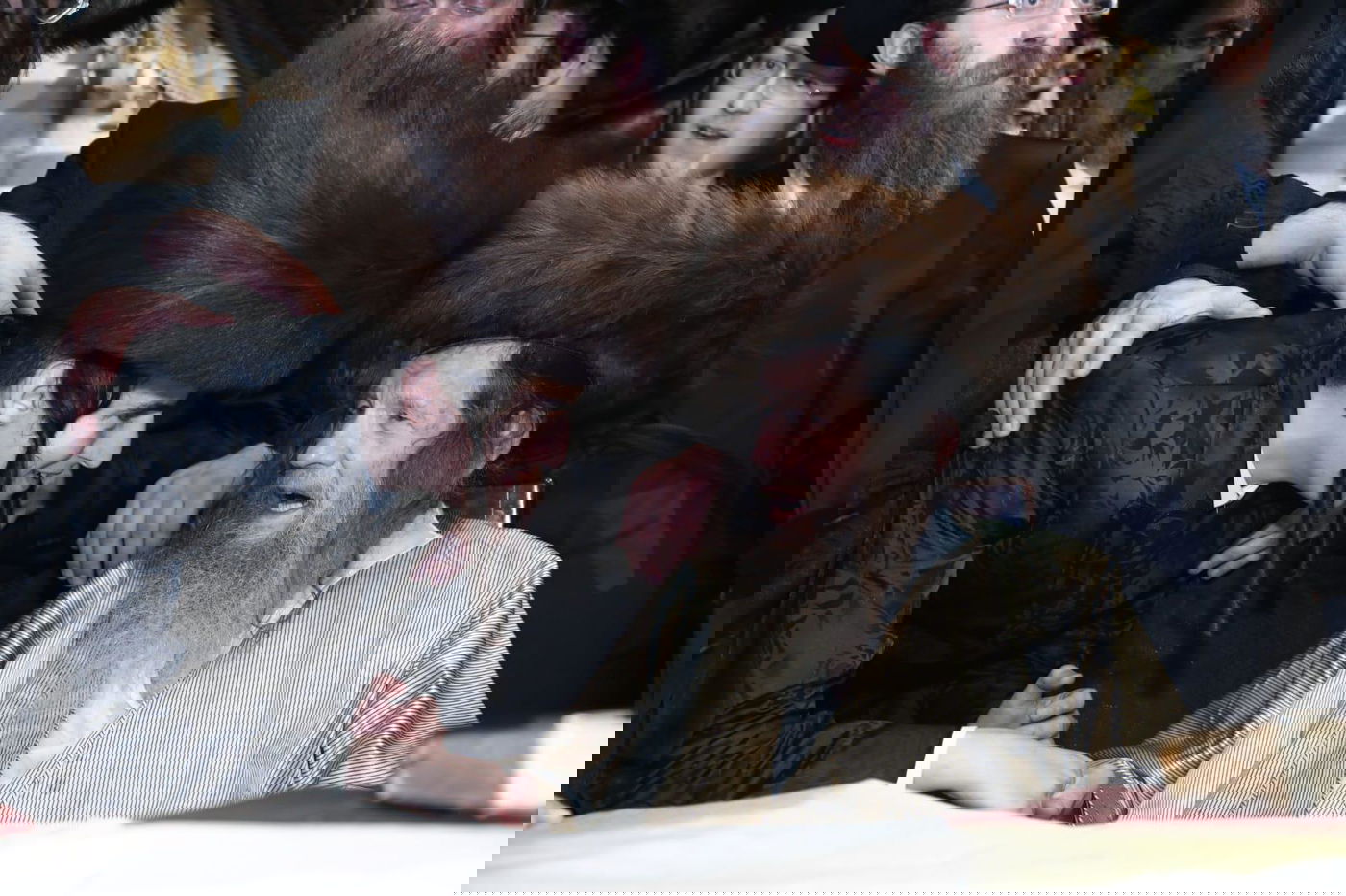 זופניק בכיכר • כל התמונות והנייעס של השבוע