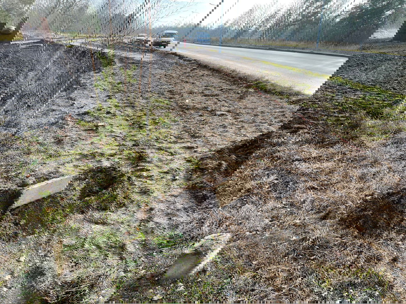 מזעזע: בליטא בונים שביל אופניים במקום בו נרצחו יהודים