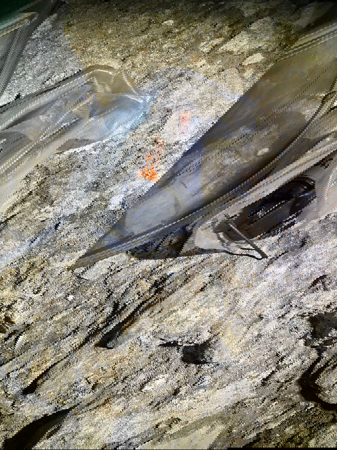 בלשי המשטרה חשפו נשק ורימון הלם; צפו