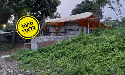 המתחם של כת 'לב טהור' בגואטמלה