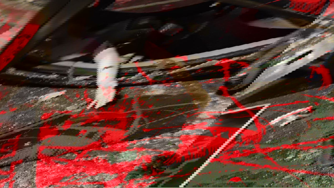 מחאת אהוביה סנדק ז"ל: דם ומכונית הפוכה