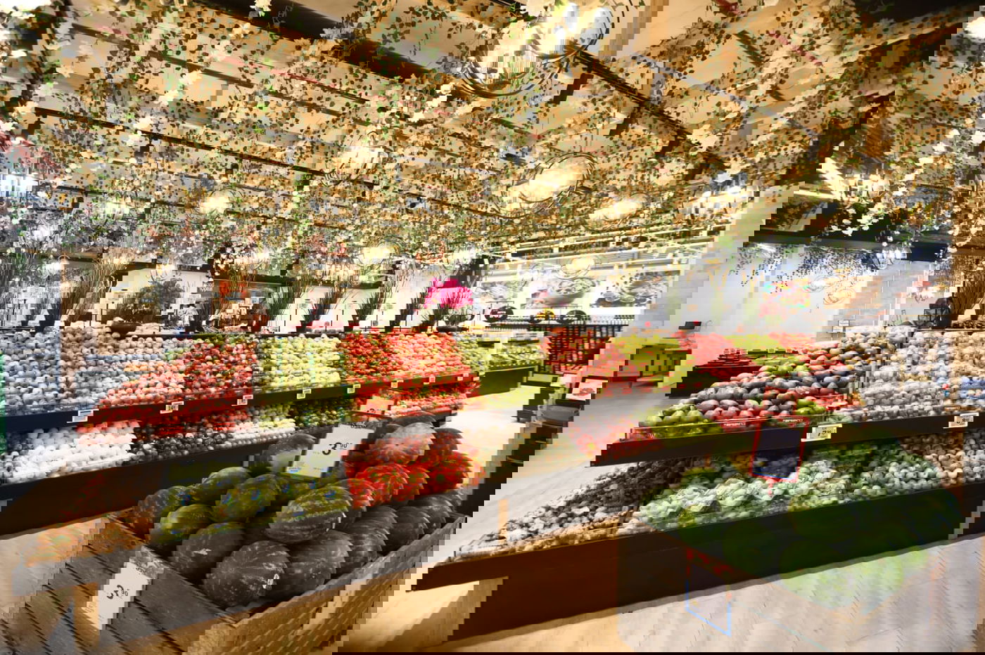 כל מה שצריך לכבוד חנוכה – במקום אחד