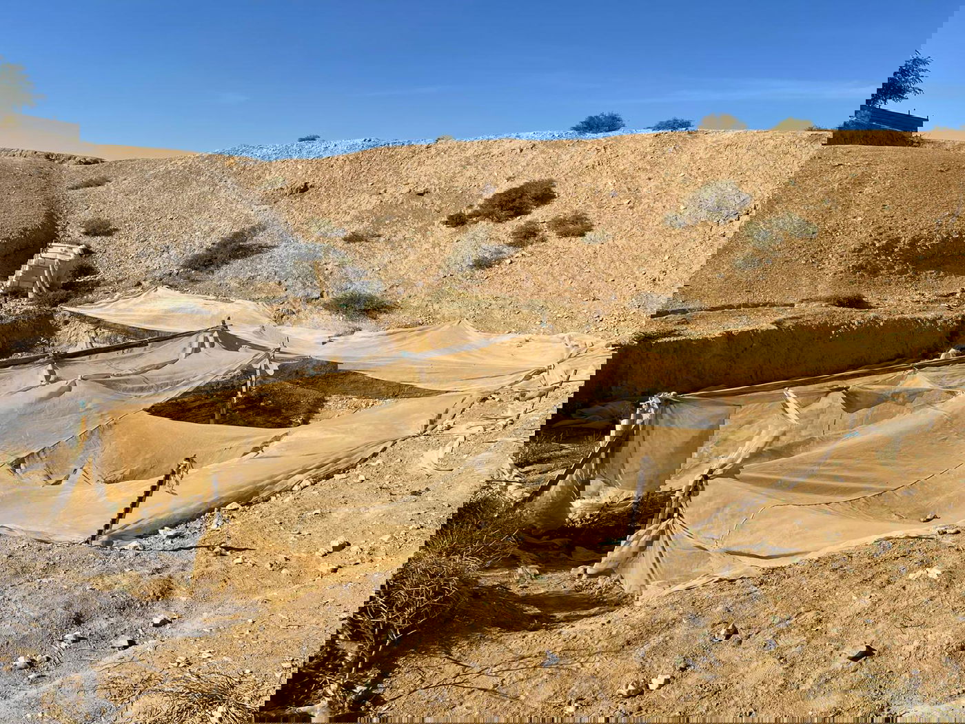 "מבצע חסר תקדים"; כ-41 חשודים נעצרו במסגרת מבצע רחב היקף