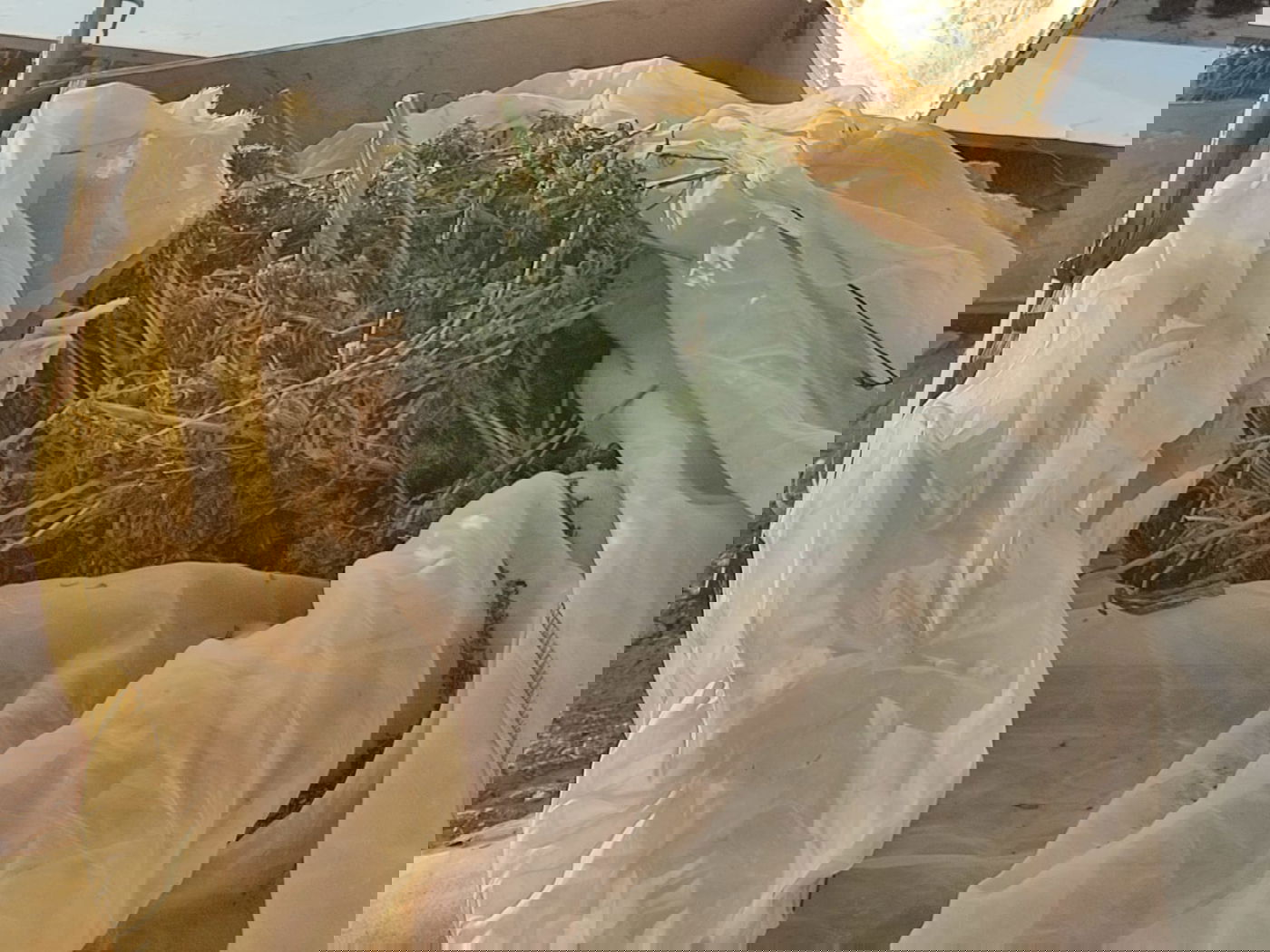 "מבצע חסר תקדים"; כ-41 חשודים נעצרו במסגרת מבצע רחב היקף