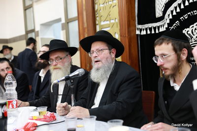 כשהגביר בירך "שהכל" וקפץ לתוך הבריכה