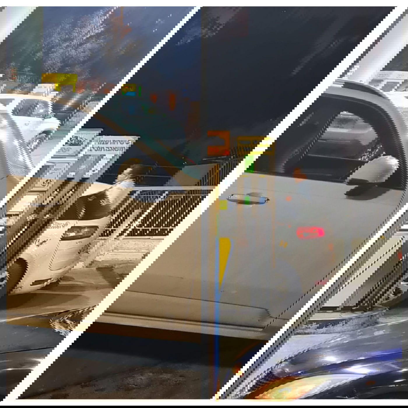 זופניק בכיכר • כל התמונות והנייעס של השבוע