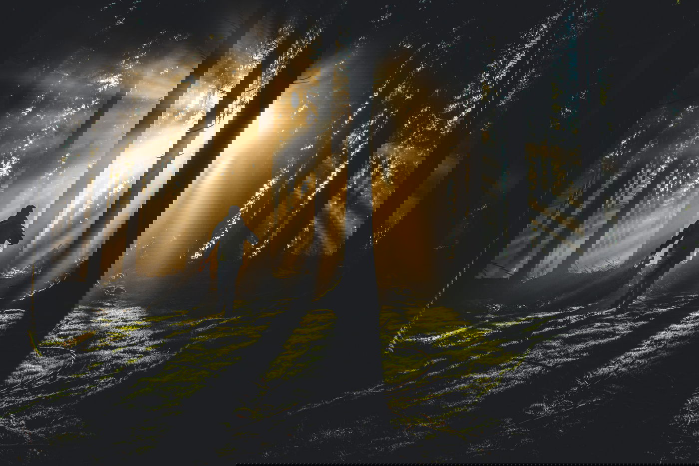 האם יש למסור את הנפש בשביל לא לבייש אדם?