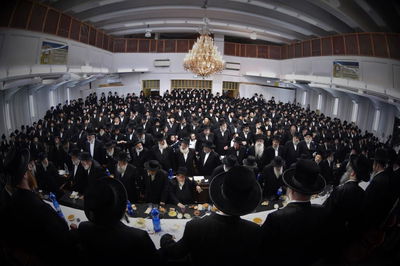 קהל החסידים