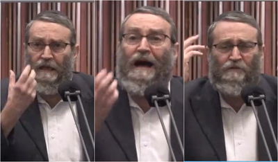 גפני במליאה, היום