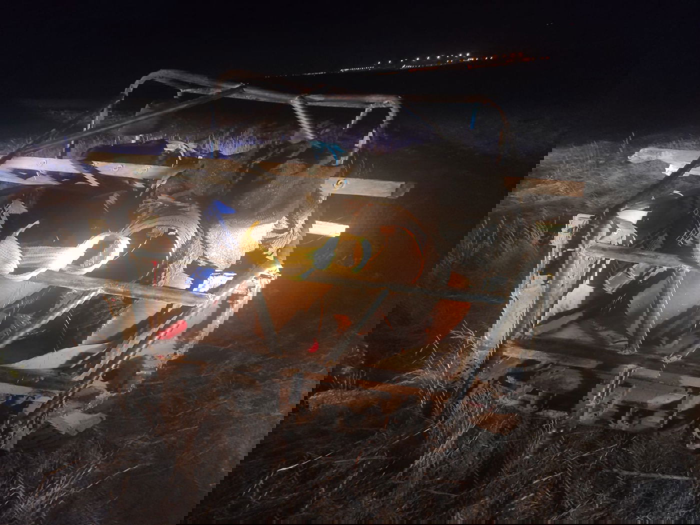 בדואים גנבו 'שנאים' בשווי מיליונים - ונתפסו