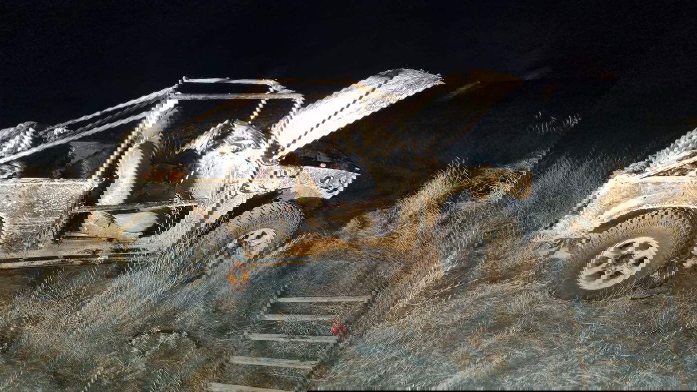 בדואים גנבו 'שנאים' בשווי מיליונים - ונתפסו