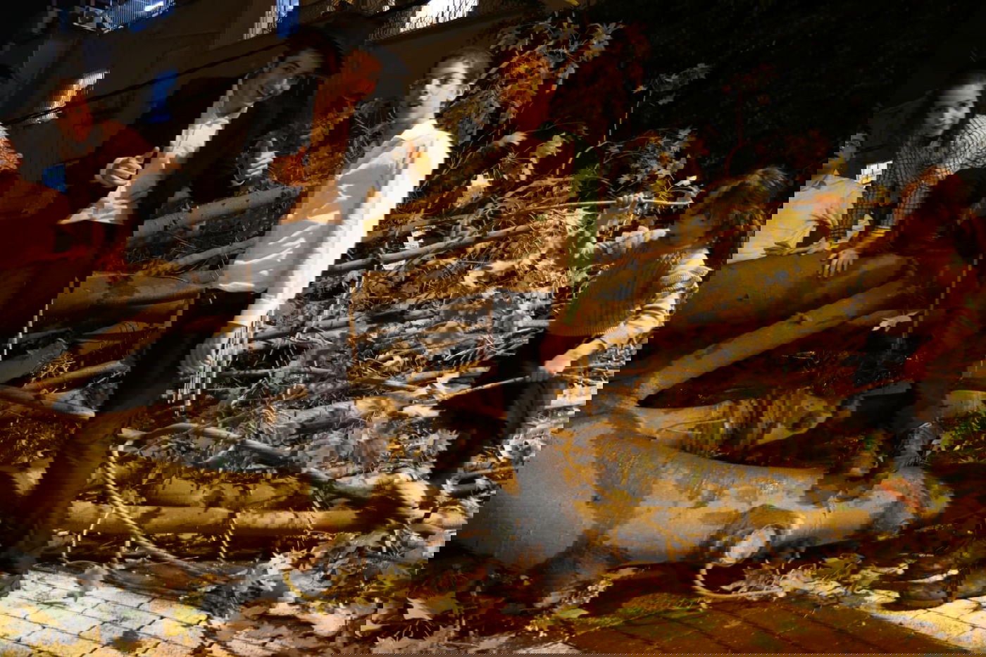 בני ברק: העץ קרס על רכב; בנס אין נפגעים