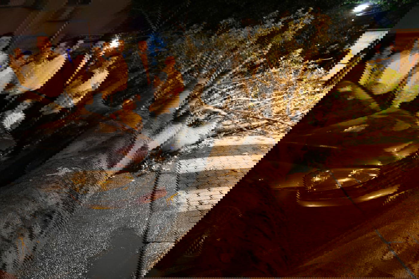 בני ברק: העץ קרס על רכב; בנס אין נפגעים