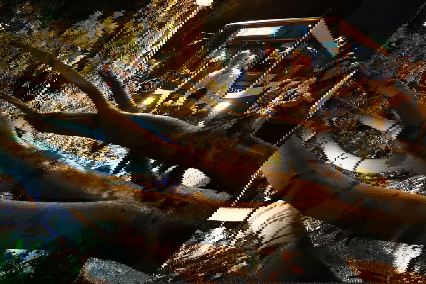 בני ברק: העץ קרס על רכב; בנס אין נפגעים