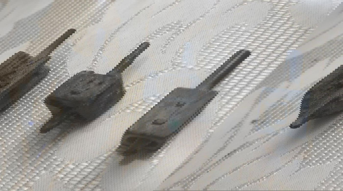 הסביבונים שהתגלו