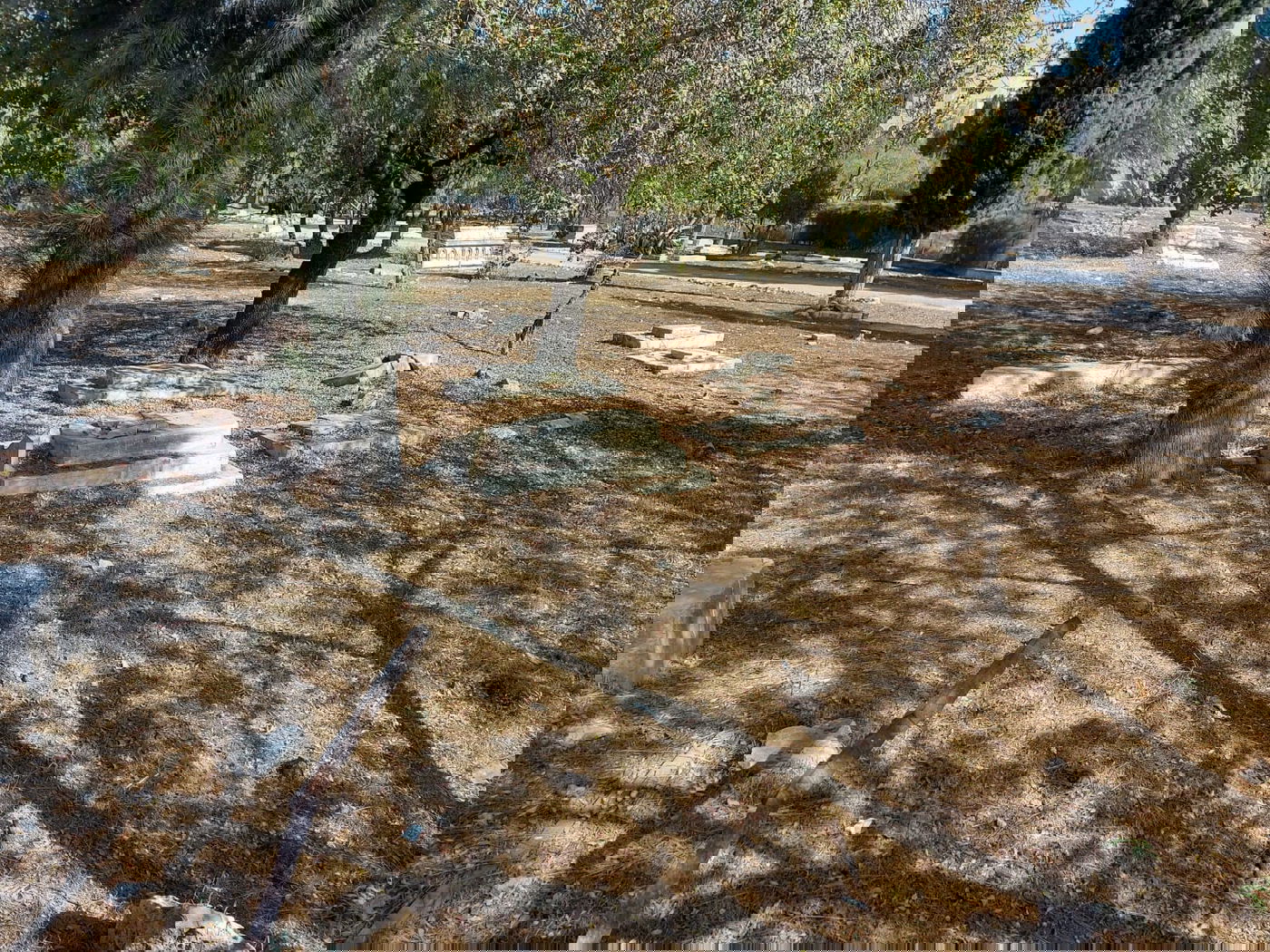 בלב העיר ירושלים: בית קברות עתיק ומוזר במיוחד