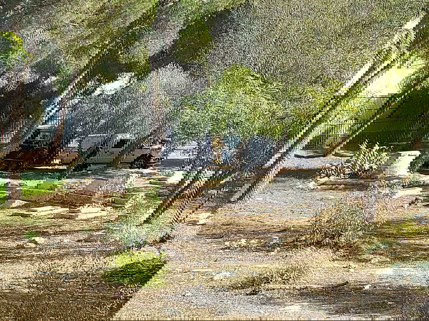 המקום כיום מוזנח ומלא עשבים שוטים