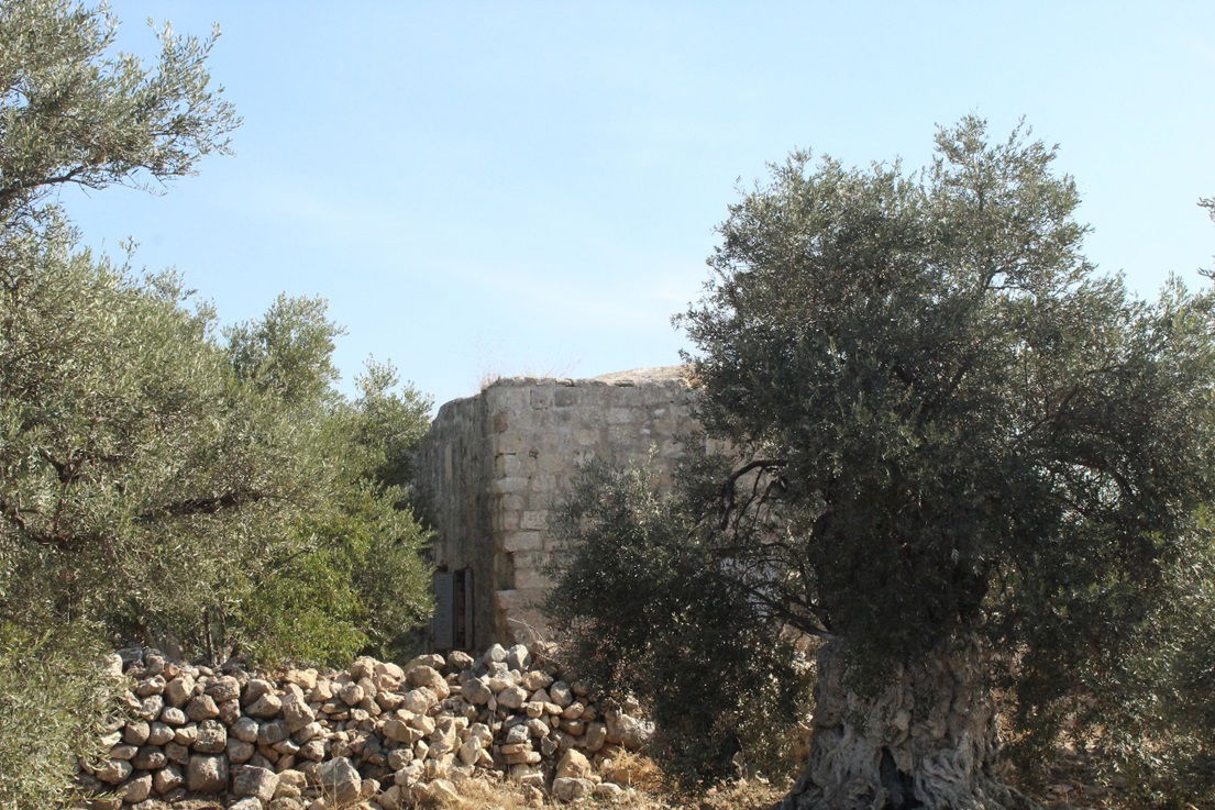 תל 'א-ראס' – צמוד לכפר 'אל – מידיה'