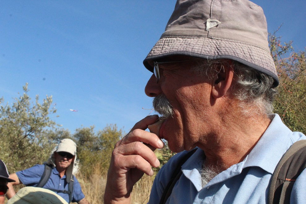 ז'אבו ארליך חוקר ארץ ישראל "טועם" חרס עתיק מתל 'אל – מידיה'