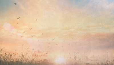 משפחת פלסר בסינגל חדש: "קולי שמעת"