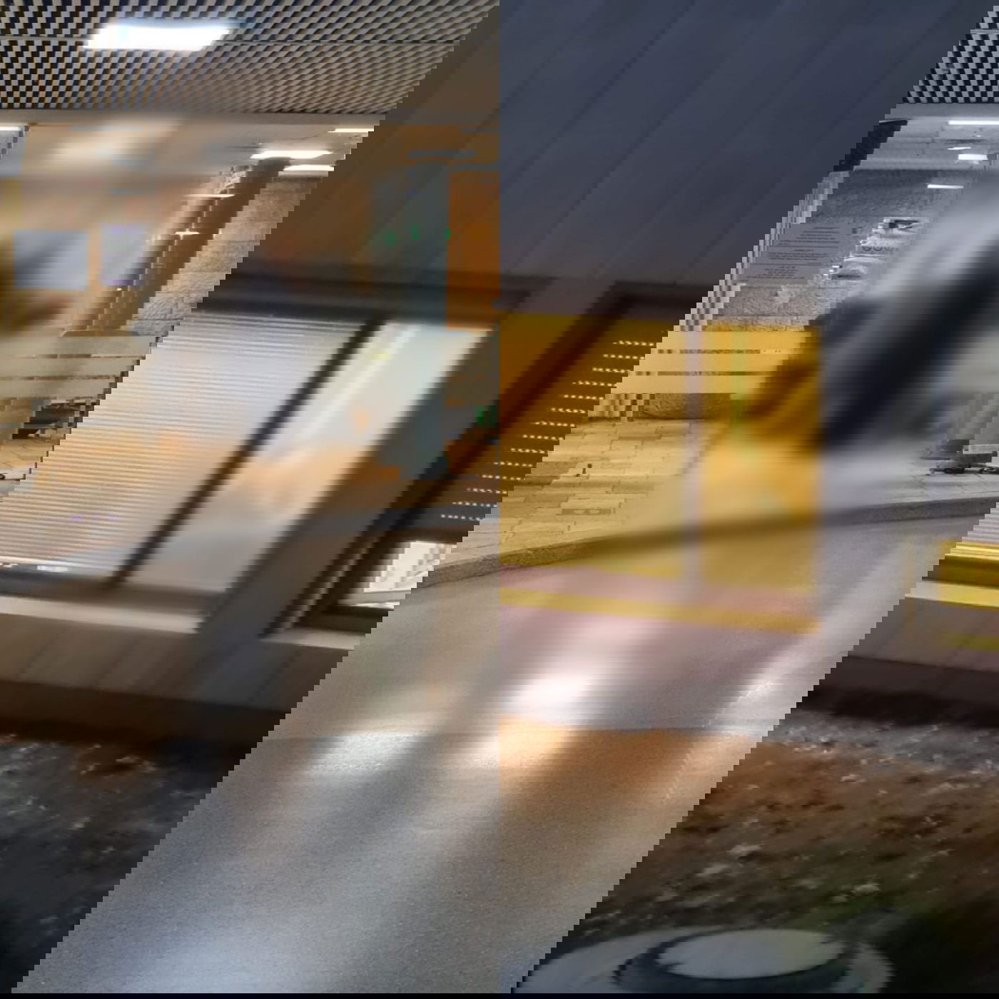 זופניק בכיכר • כל התמונות והנייעס של השבוע