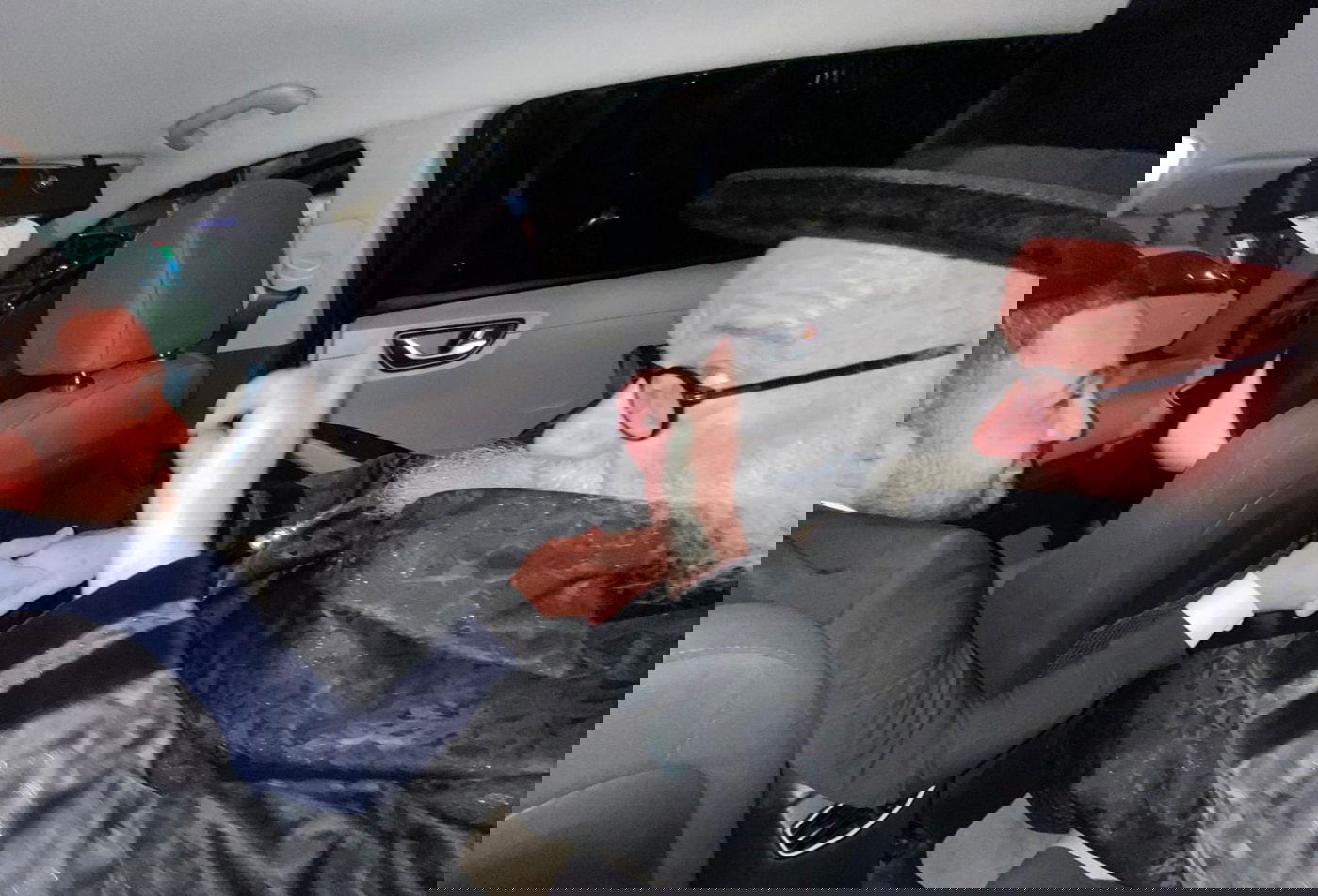 זופניק בכיכר • כל התמונות והנייעס של השבוע