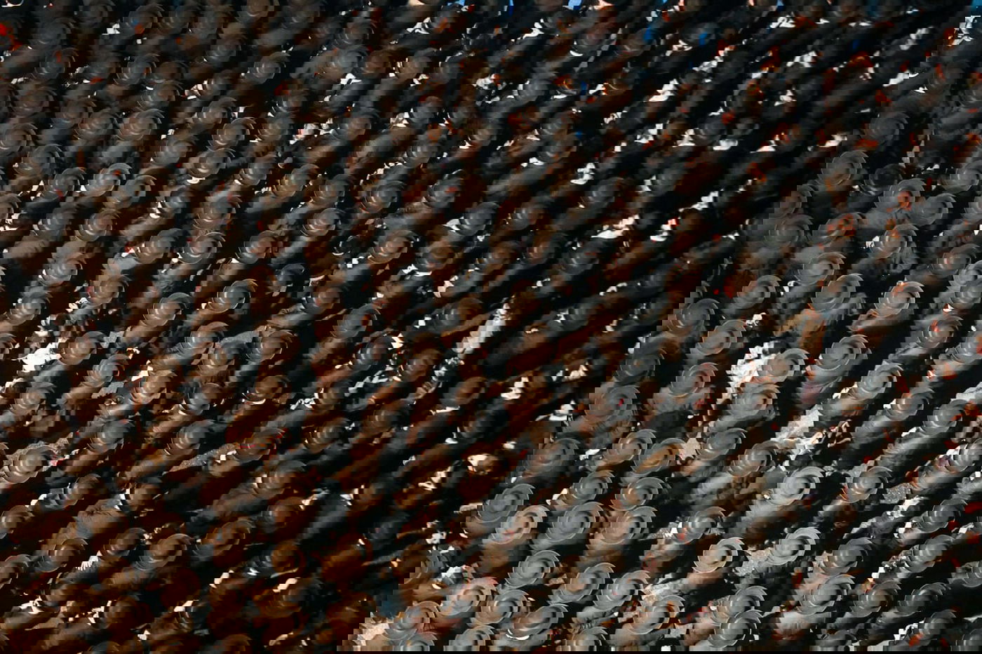 בעקבות התביעה: אלפי חסידי גור הפגינו בבני ברק • תיעוד