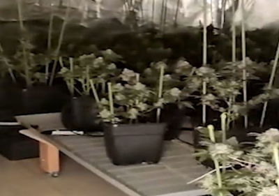 השלל שנתפס בבת ים