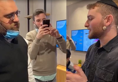 הולנדר מנחש