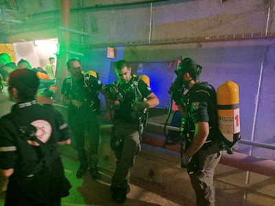 פעילות המשטרה