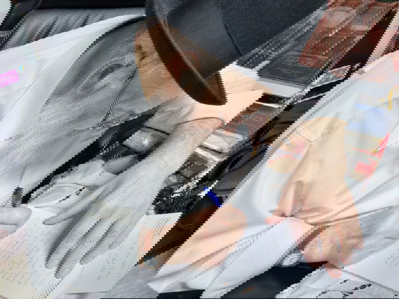 חב"ד מצטרפים למאבק על הכותל: "למנוע בכל מחיר"