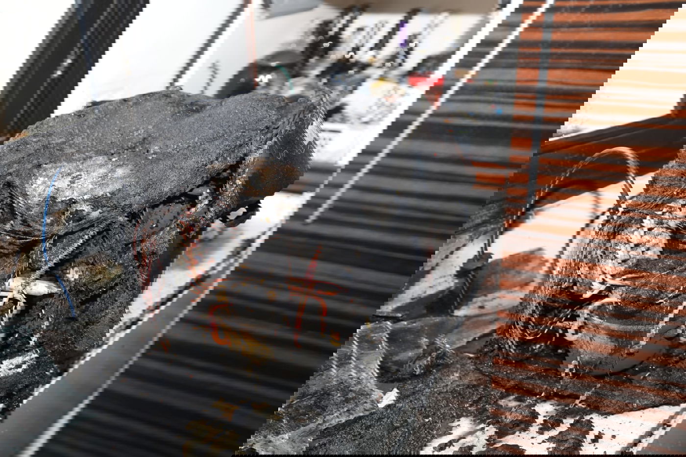 ה'תמי 4' החל לבעור: התושבים ניצלו בנס