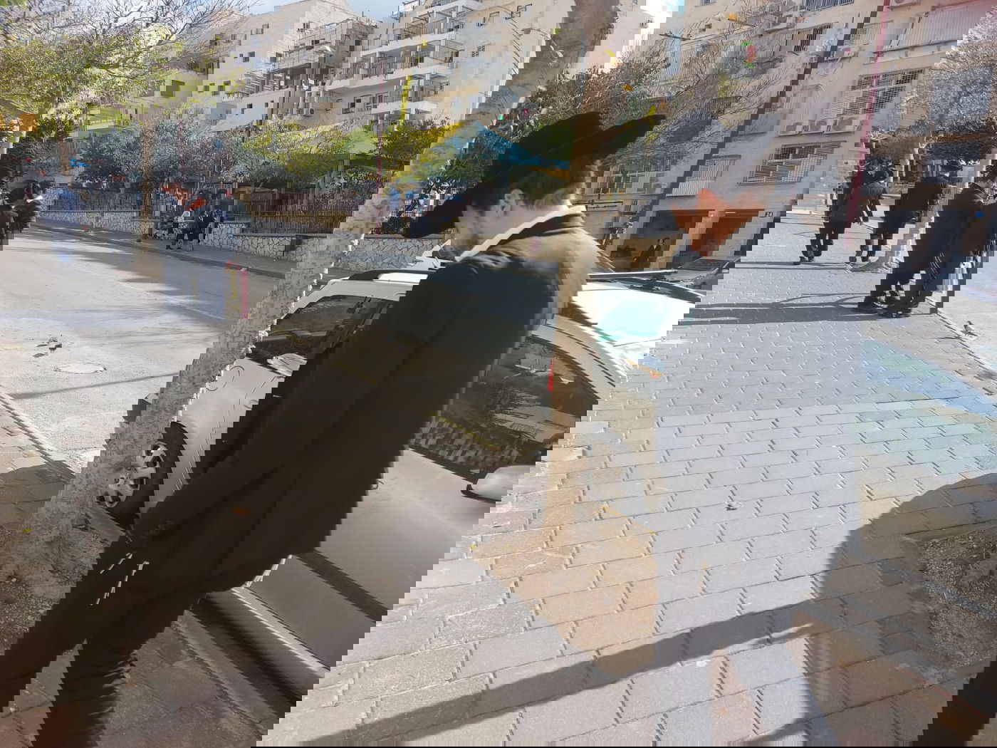 זופניק בכיכר • כל התמונות והנייעס של השבוע