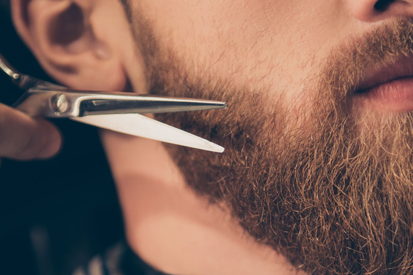 מאבקי הדת שהובילו לגזיזת זקנים של רבנים