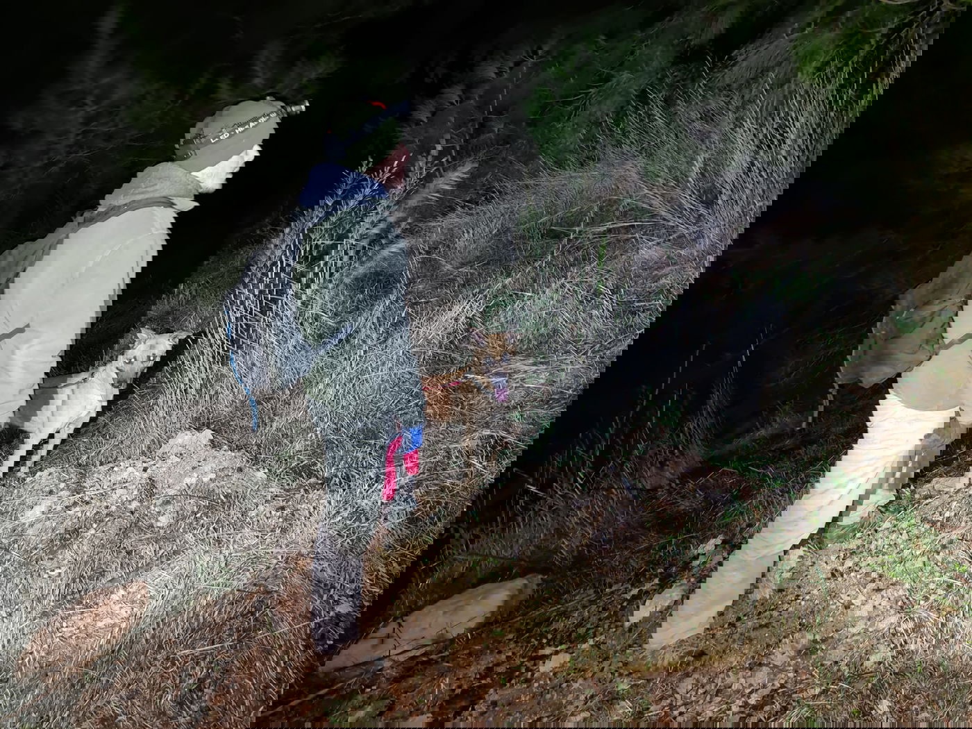 תיעוד מהחיפושים אחר הבחור