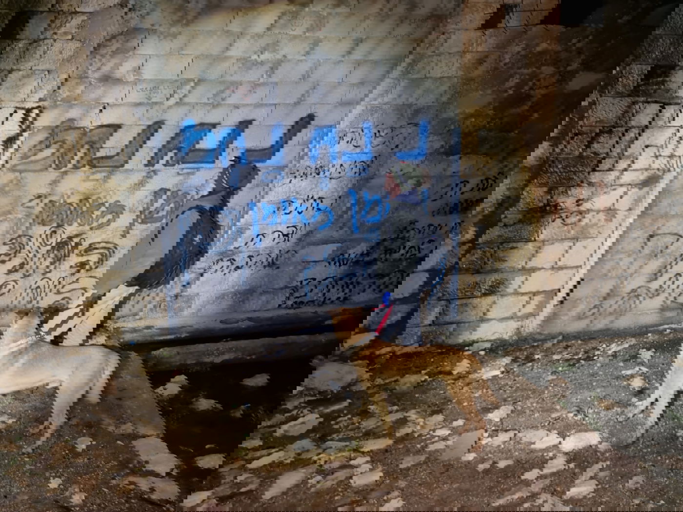 תיעוד מהחיפושים אחר הבחור