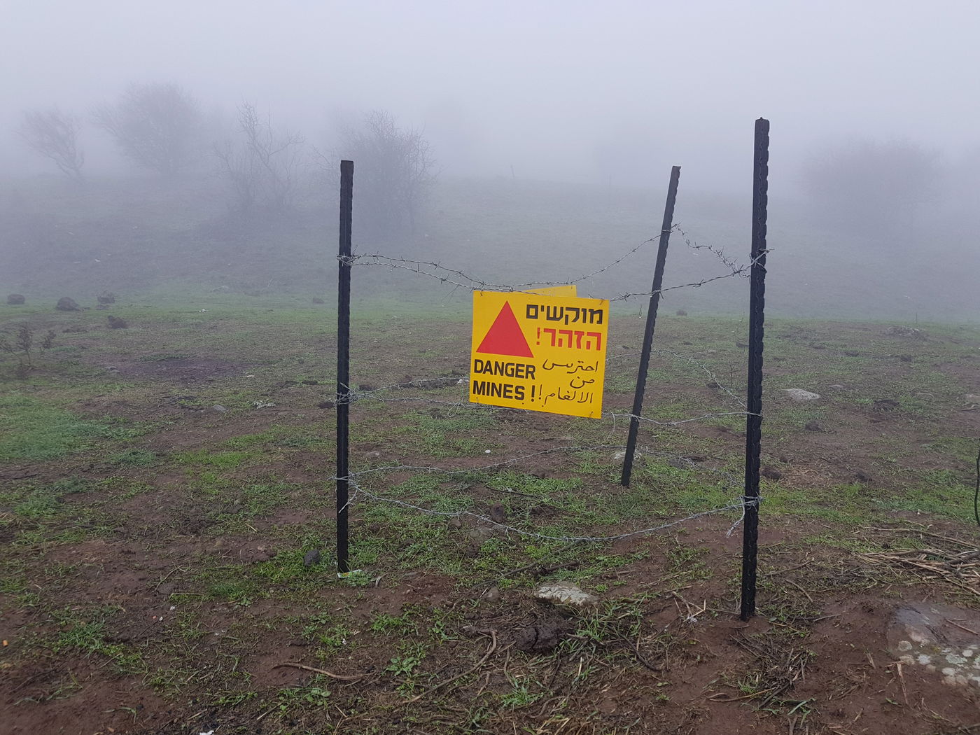 ליד מאגר בנטל