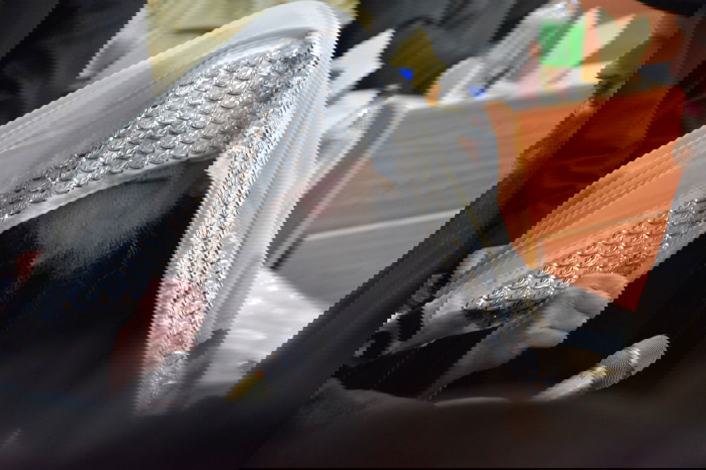 האדמו"ר ממיאלען בשמחת הברית לבנו