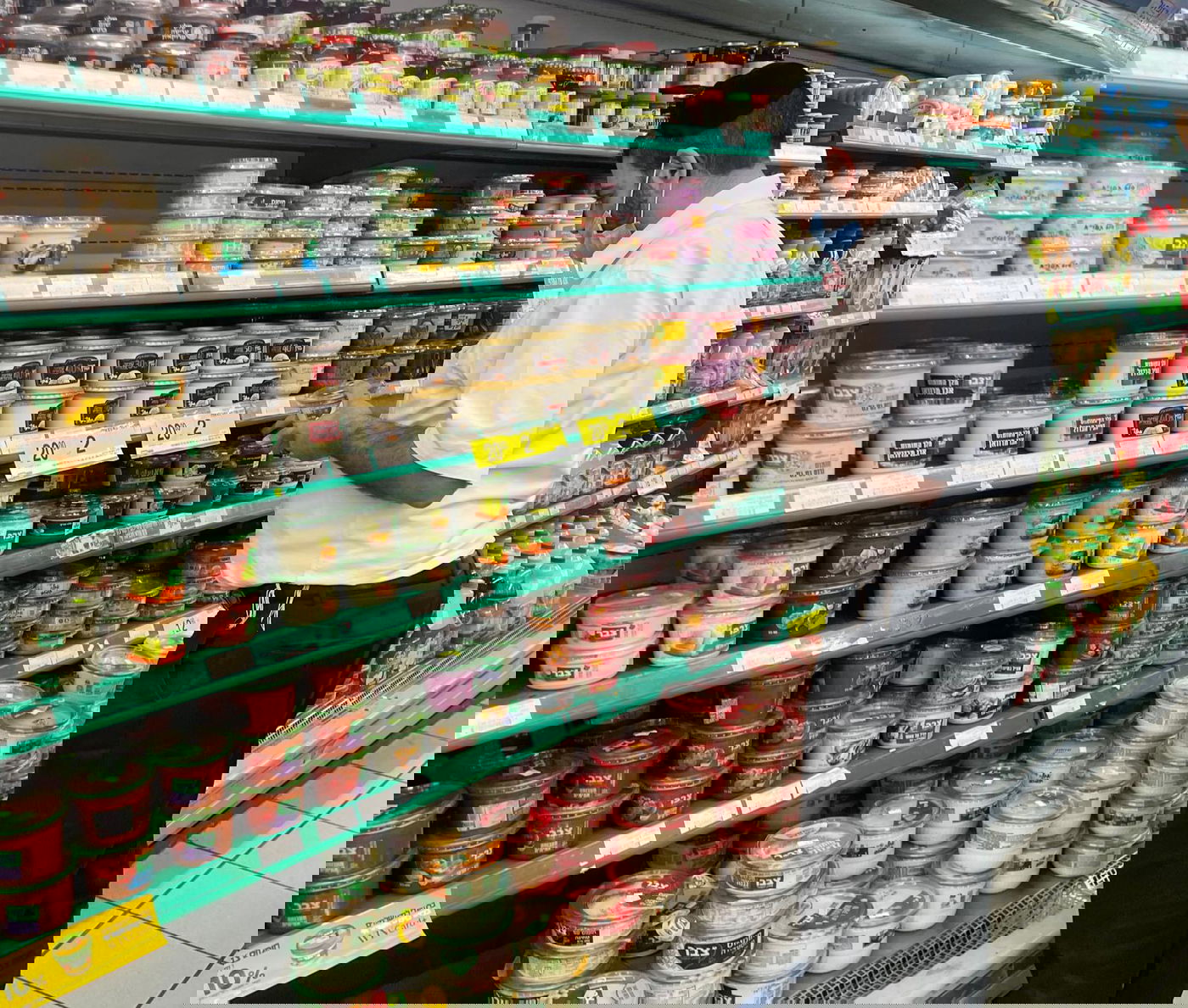 זופניק בכיכר • כל התמונות והנייעס של השבוע