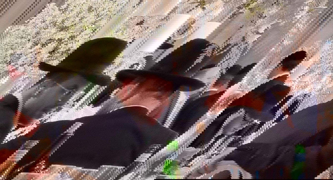 זופניק בכיכר • כל התמונות והנייעס של השבוע