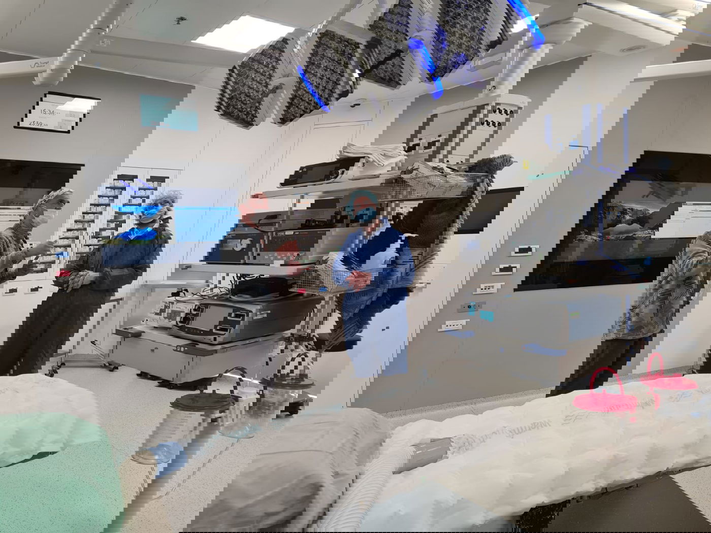 זופניק בכיכר • כל התמונות והנייעס של השבוע