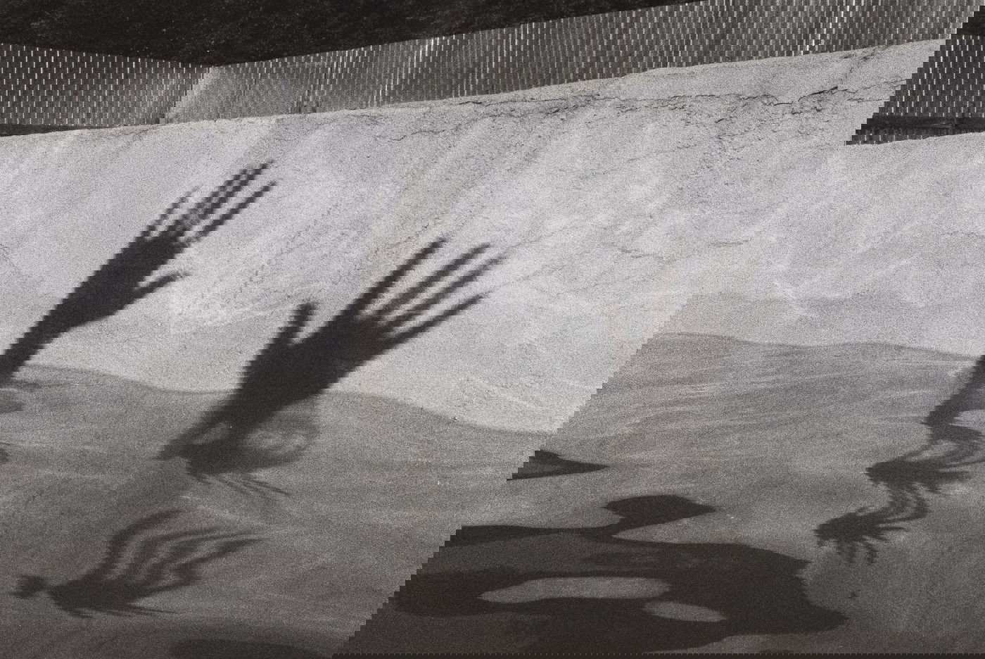 ניסו לשים קץ לחייהם וחזרו כדי לספר למה 'זו טעות!'