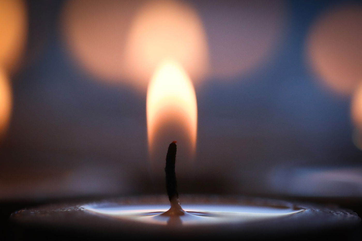 בשיבה טובה: מרת רבקה קלושינער ע"ה