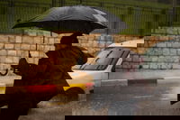 גשמים. אילוסטרציה