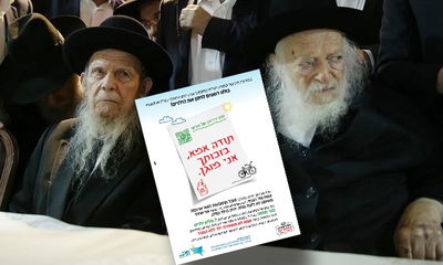 בפרסום מוזכרת הכרעתם החד-משמעית של גדולי התורה והחסידות לפיה צריך לחסן את הילדים מגיל 5 ומעלה