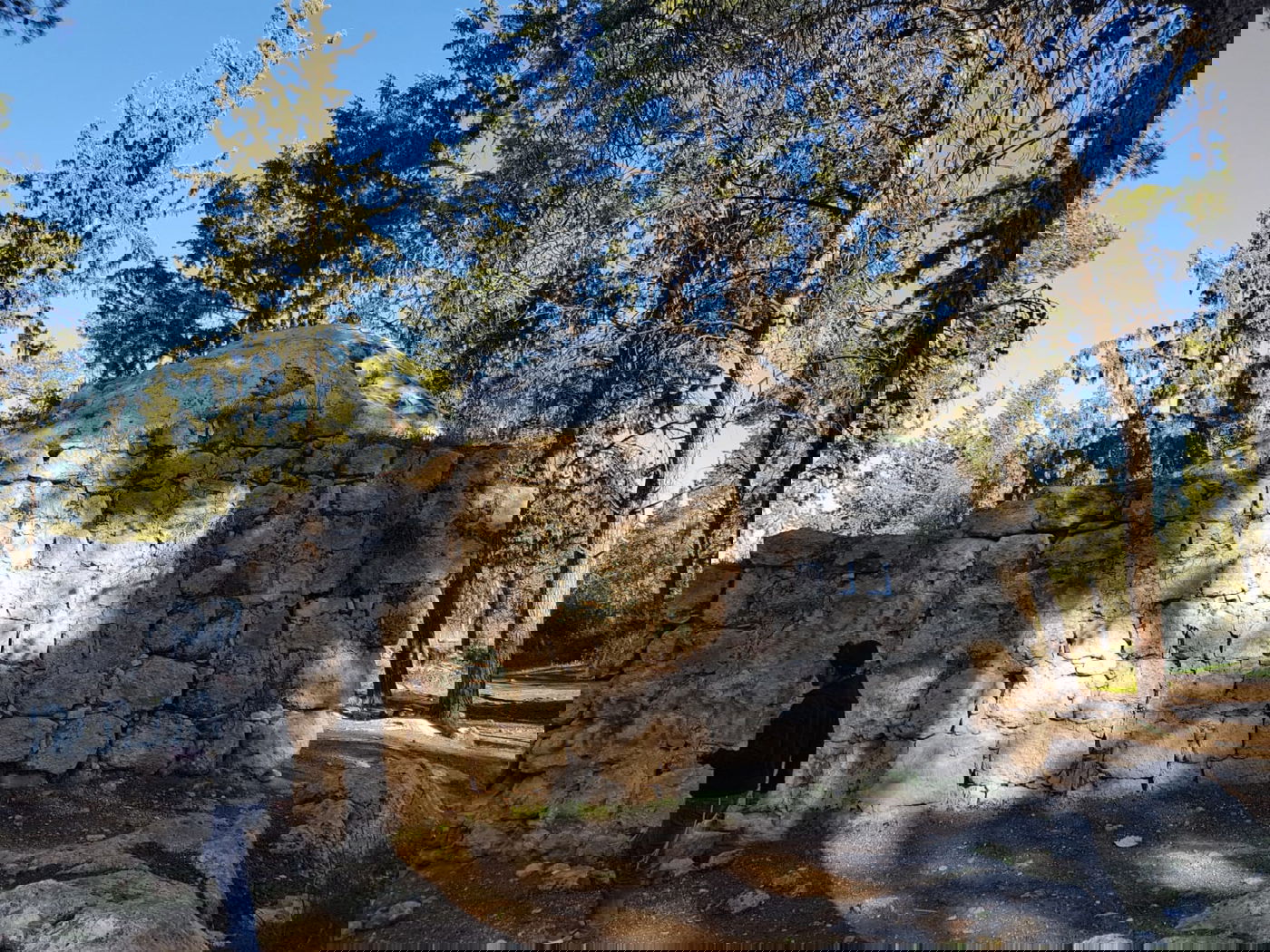 עצב ב'קבר מתתיהו': הגישה לציון - נחסמה