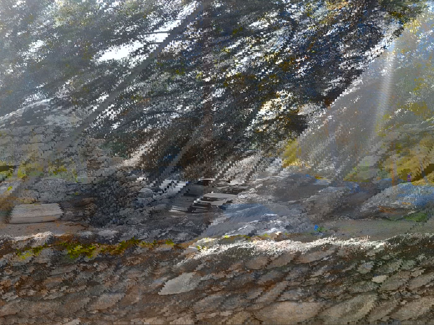 עצב ב'קבר מתתיהו': הגישה לציון - נחסמה