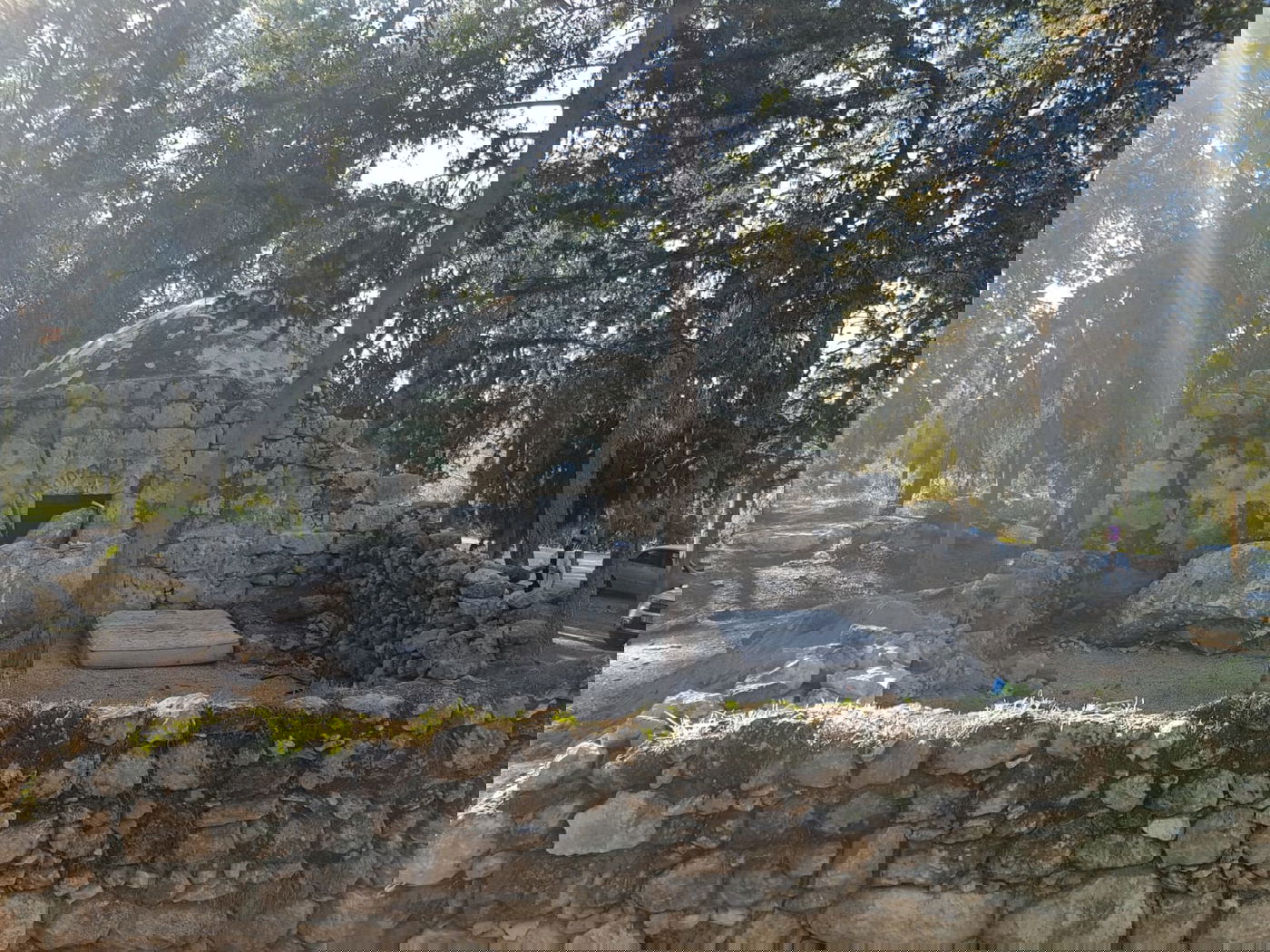 עצב ב'קבר מתתיהו': הגישה לציון - נחסמה